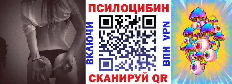 закладки  kraken ССЫЛКА  Галлюциногенные грибы Psilocybine cubensis  Опочка 